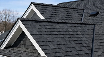Roof Replacement 1
