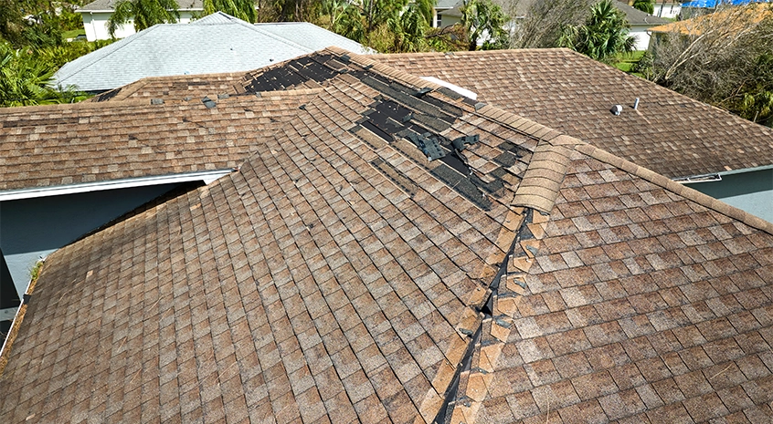 Sample panel with multiple asphalt shingle styles arranged in neat rows